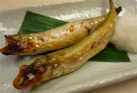 種葉魚|シシャモ（柳葉魚）の秘密すべてご紹介！基礎知識か。